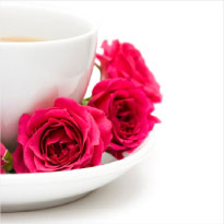 Experience the Rose Garden