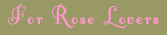 For Rose Lovers