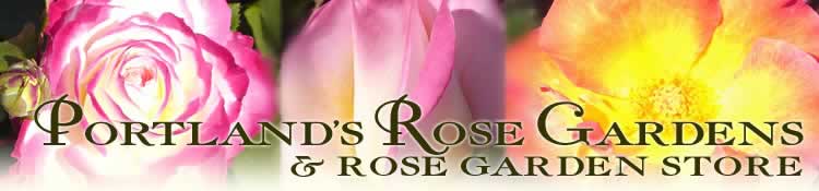 Portland's Rose Gardens and Rose Garden Store